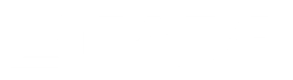 B2B 21CARS